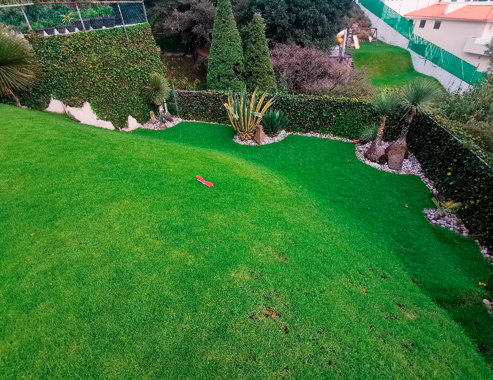 Resultado Biotech BMI: Césped recuperado después de controlar gallina ciega