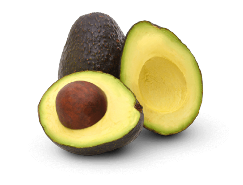 Uso agrícola de Biotech BMI en Aguacate para control de Barrenador de ramas