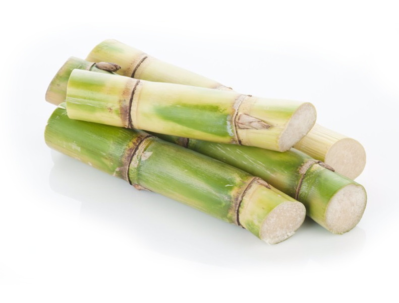 Uso agrícola de Biotech BMI en Caña de Azúcar para control de Mosca Pinta y Barrenadores