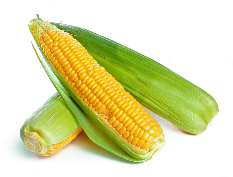 Uso agrícola de Biotech BMI en Maíz y Sorgo para control de Gusano cogollero, Gusano del fruto y Gallina ciega