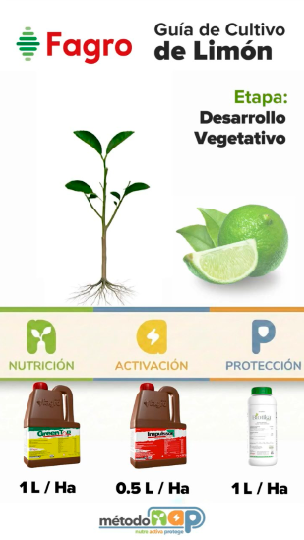 Guía de cultivo: Cultivo de limón