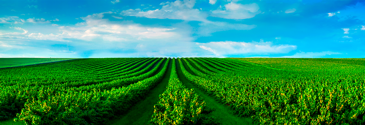 Banner Fagro - Soluciones agrícolas sostenibles