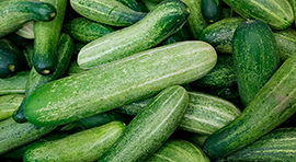 Cinna-Mix para cultivo de Pepino