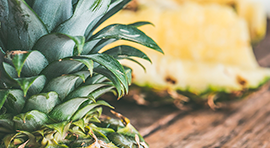 IONI-COH para cultivo de Piña