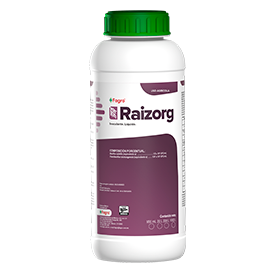 Raizorg Biofertilizante Líquido. Inductor natural del enrizamiento de plantas de origen orgánico.
